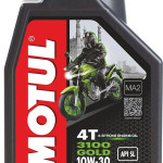 3100 4T Gold 10w30 (API SL)