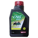CNG EXPERT 15W50 API SN JASO MA2 Can