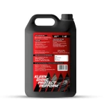 AUTO SHAMPOO EKO